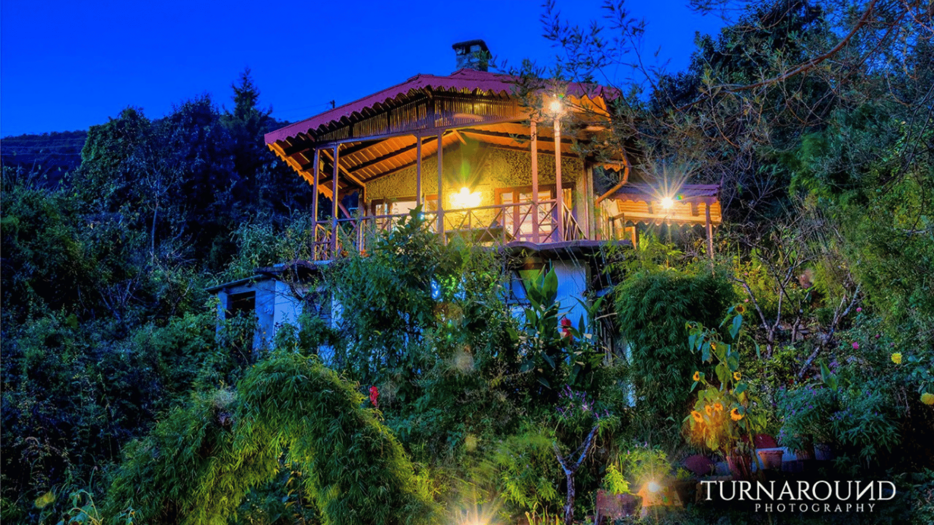 jungle lore birding lodge