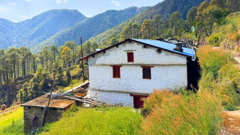 Birdsong Bungalow pangot